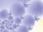 Lavendar