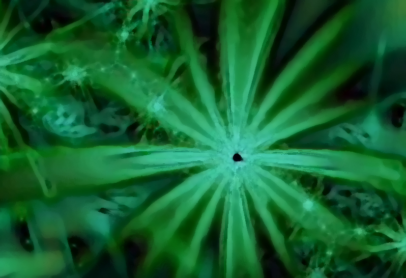 Fractal Green mp4 video for iPod