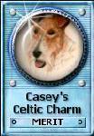 casey's celtic charm Award